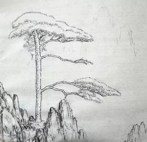 "迎客松"作画步骤