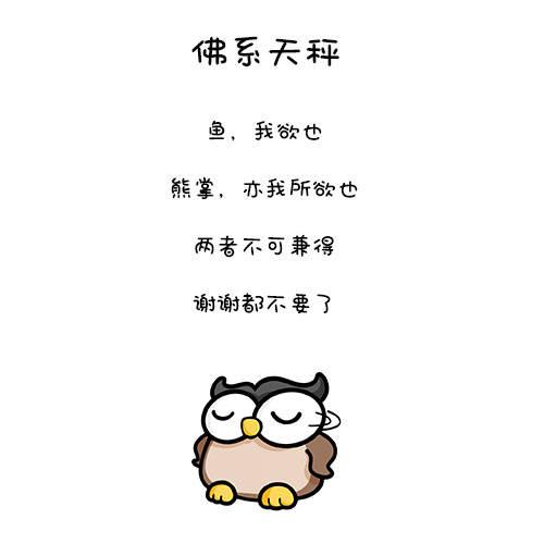 【佛系摩羯】:还是摩羯.