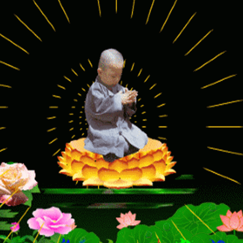 500_500gif 动态图 动图