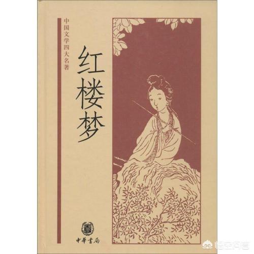 需求决定选择,无论你想从小说中获得什么,我这都会有适合的小说