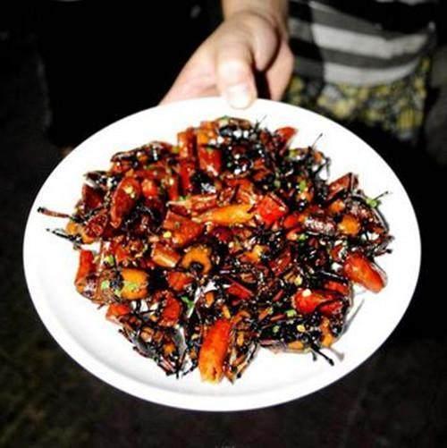 农村田里的"笋子虫"是道美食, 还能做成风筝只有农村小孩才知道