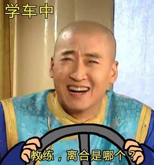 搞笑图片之学驾照的真实写照!_新浪看点