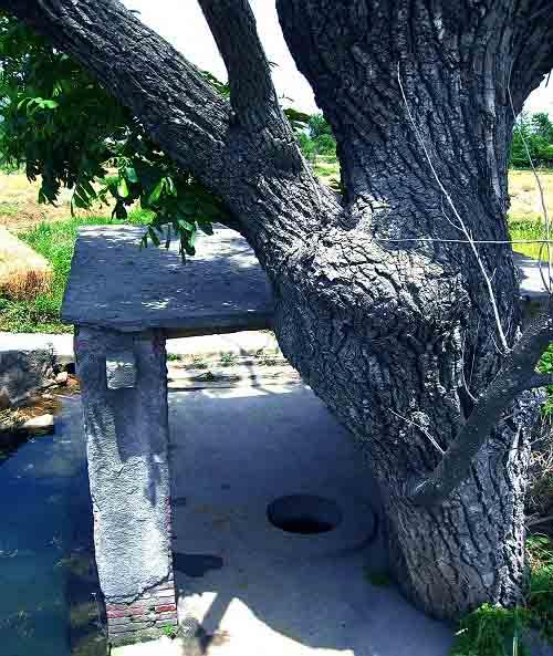 图说历史: 乡野村庄里的那些老井|乡野|村庄|井台_新浪新闻