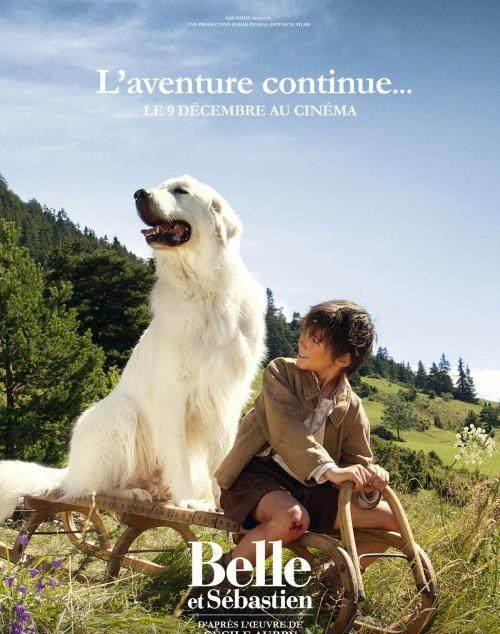 让人哭成泪人的各国 狗电影大集合,日本赢了