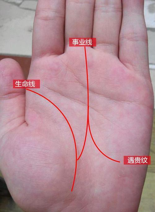手相有这3大特点的人40岁后豪气冲天赚得千万资产