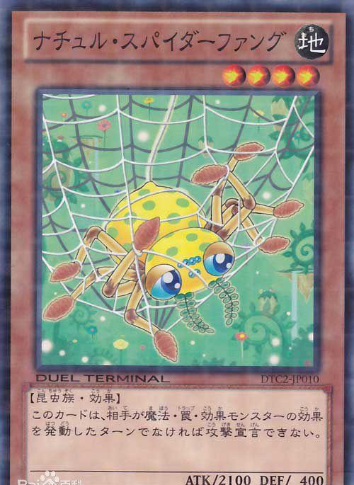 游戏王蜘蛛的领域不容侵犯蜘蛛卡组