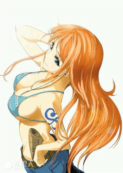 我决定了!要把姑娘们怎么看路飞仔细的写一下!