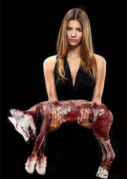 小浣熊被活剥皮后还挣扎着回头看自己的身体,是谁穿了他的皮衣!