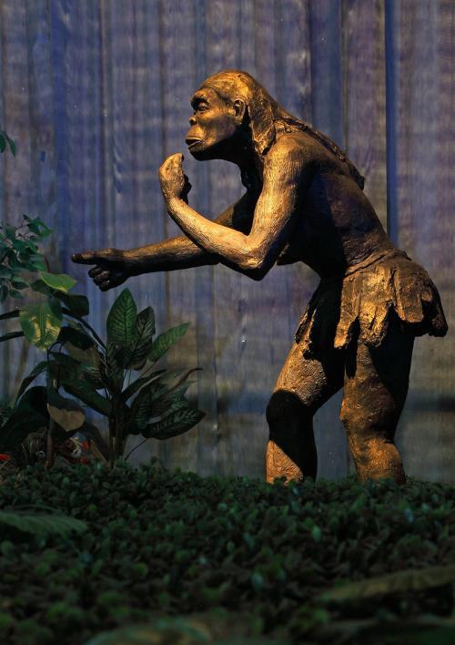 早在大约170万年前,我国就已存在有人类的祖先云南元谋猿人了哈!