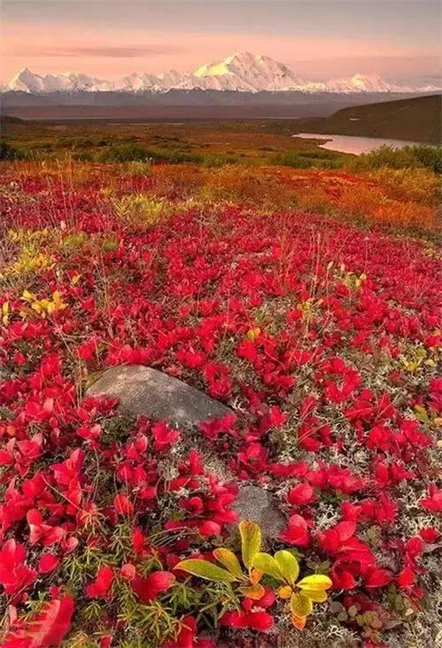 送你绝世美景,养眼又养心!