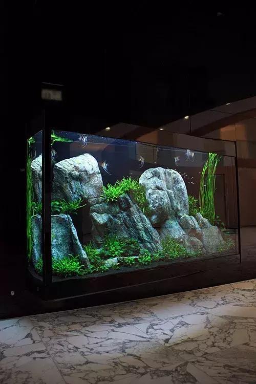 家居水景丨适合远处观赏的大型水草造景缸