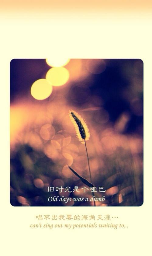 当一段感情已经走到尽头