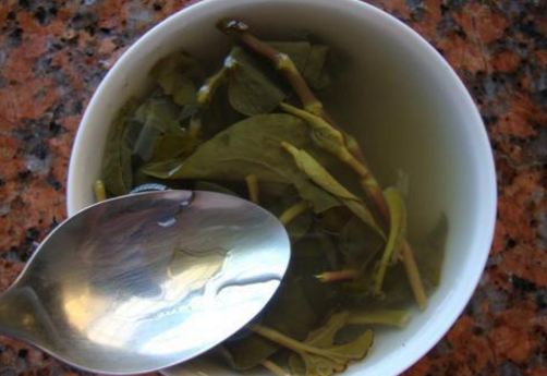 它是春季"最厉害"的野菜,用它泡水喝清热抗癌,错过再等一年!