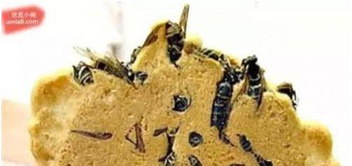 活蛆奶酪?蚊子饼?中外重口味食物大PK,外国人