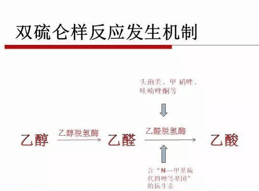 双硫仑样反应,又称戒酒硫样反应,是由于服用药物(头孢类)后饮用含有