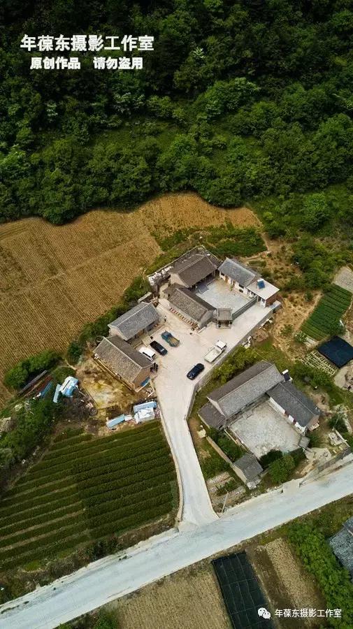 龙王沟里的九旬蜂王打个赌你若活到90岁肯定没他攒劲