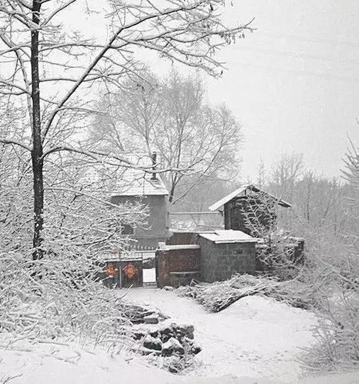 这些农村雪景太漂亮简直不敢相信自己的眼睛