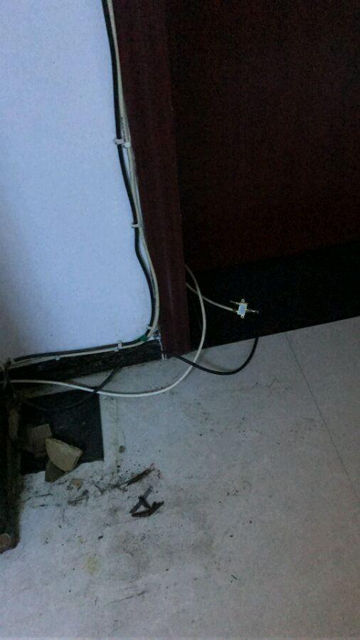 二货哈士奇拆家咬电线 结果全身被电炸毛 悲剧了!