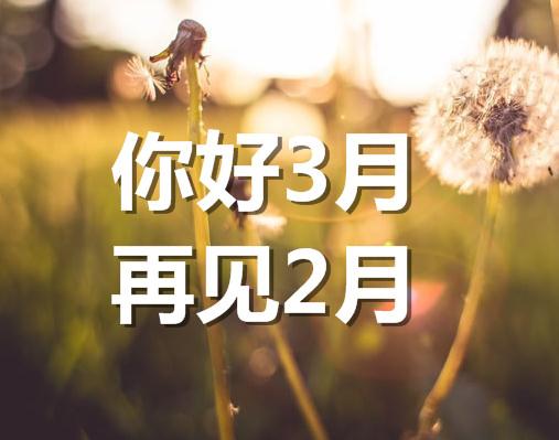 你好3月再见2月唯美图片带字说说: 烟花三月, 