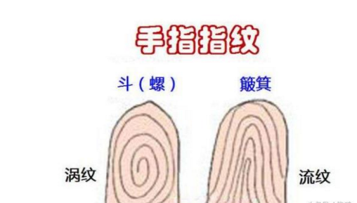 手上只有一个斗十个手指一个斗的人,性格果断,处事利落,勇敢大胆.