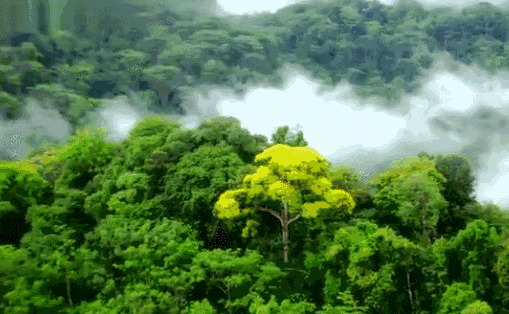 无问西东取景地背后竟还藏着这么多不为人知的古朴美景