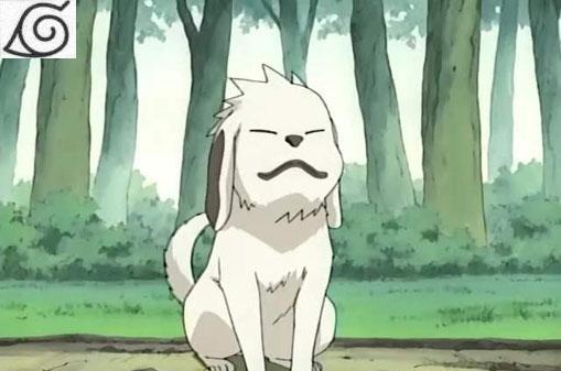 过七夕二次元的单身狗你惹不起二次元萌狗大暴走