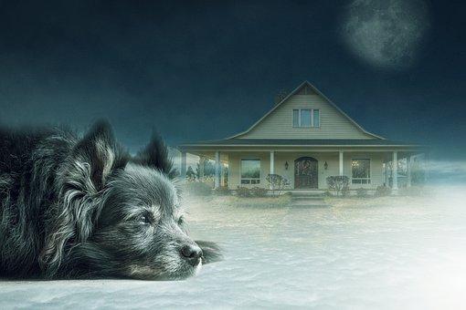 得重度抑郁症如此痛苦的六大原因