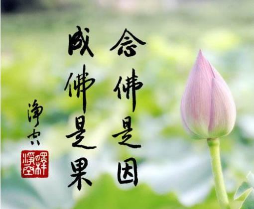 酒肉穿肠过,佛祖心中留,是一个误解,让我们警惕的是下一句