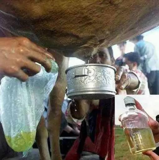 全球十大奇葩饮料排行榜,日本的人奶饮料你喝