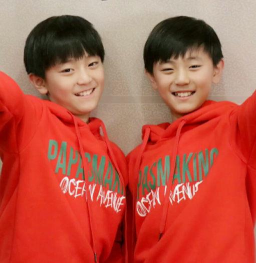 眉飞眼笑!搞懂龙凤胎和双胞胎"意味深长"-第2张图片-凝残月网