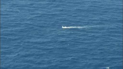 中国鱼雷世界顶尖一枚就能击沉美国航母