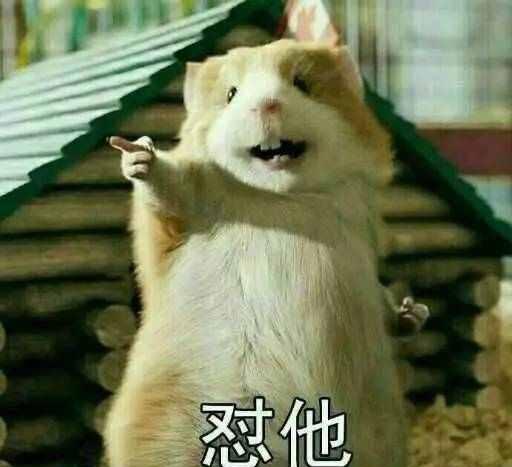 但求脱贫说秀爱恩爱的撒狗粮羡慕嫉妒恨其实心里还是觉得一个人挺好的