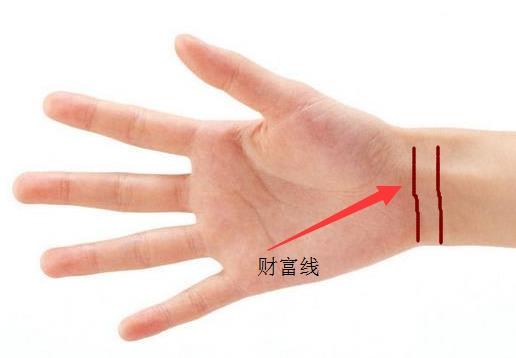 你的手腕上你几条线你知道它们的含义吗