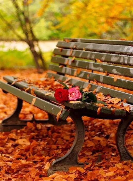 珍惜自己,因为一辈子不长;珍惜身边的人,因为下辈子不一定遇见