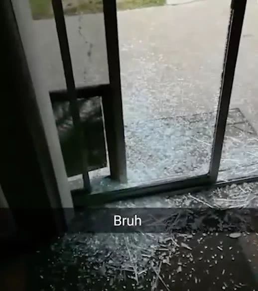 因为擦太干净,家里的玻璃门被狗撞稀碎