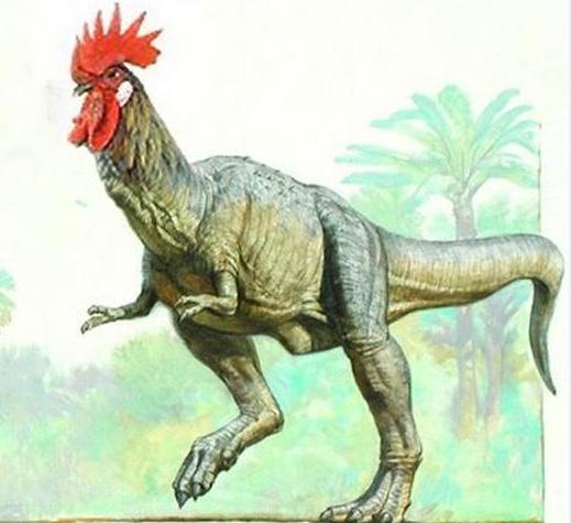 逆转鸡的基因能克隆恐龙吗?|克隆|恐龙|鸟类_新浪新闻