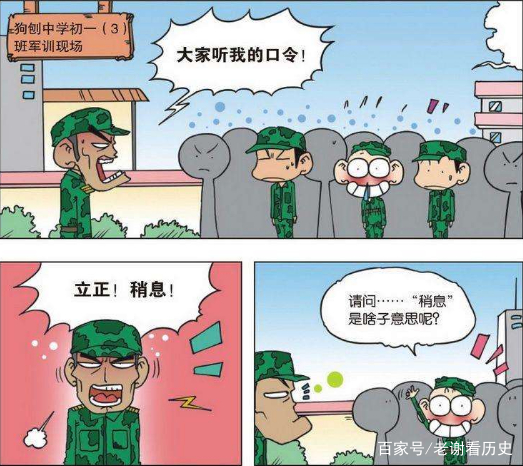 爆笑校园:呆头军训真搞笑!"稍息"让人无语,"抱树"气晕教官