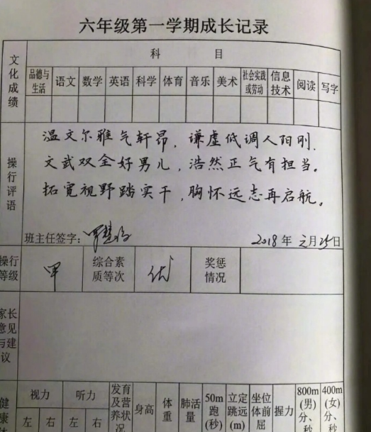 班主任写评语这样的成绩让我诗兴大发