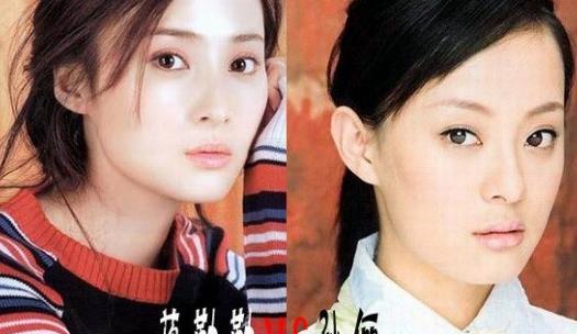 20组女明星撞脸图,我觉得童谣和章子怡最像,你