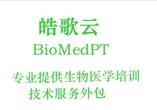 飘飘谷：上海生物科技企业如何以研发实力打开增长空间
