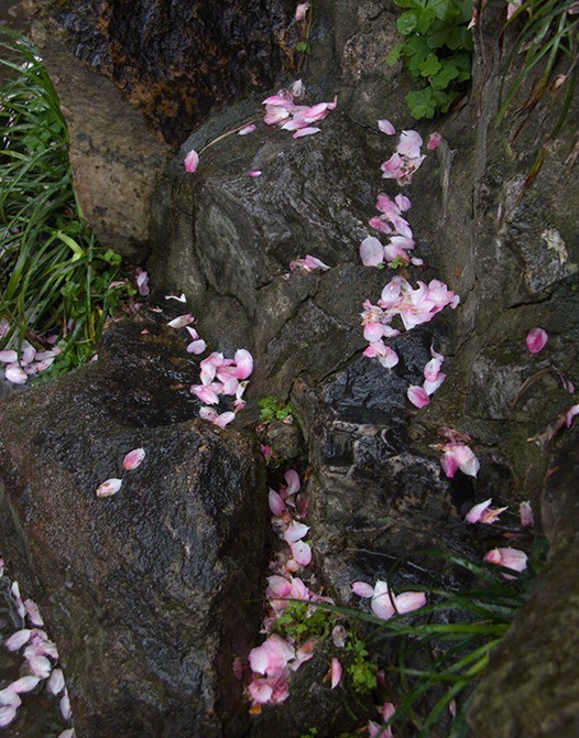生活萧索,生命无眠,缕缕记忆,丝丝印记,绵绵不断,久久不息,花开花落