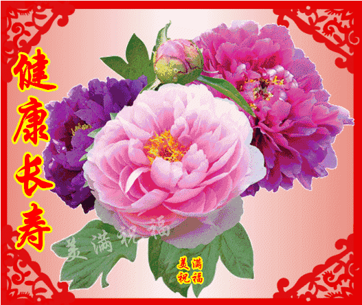 捉一条富贵的金鱼为你送去吉祥与财运祝愿儿女们吉祥如意,连年有余