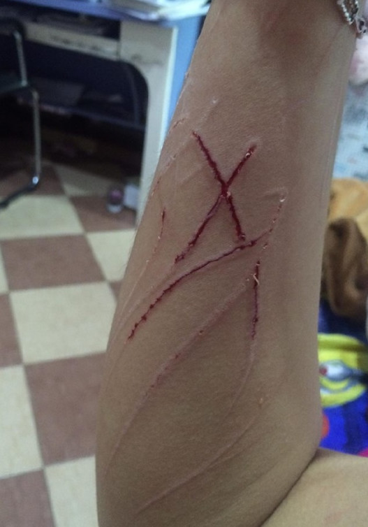 主人想跟猫咪睡觉,猫咪不仅不愿意,还下狠手报复主人