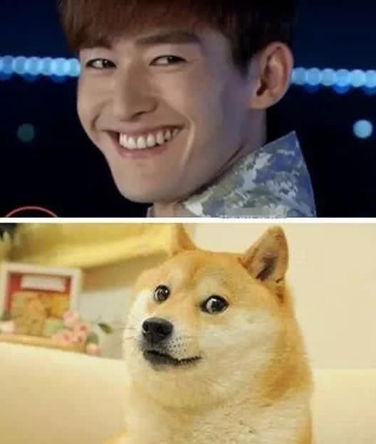 这表情实在是笑死人了.一直以来张翰总给人一个稳重成熟的感觉.