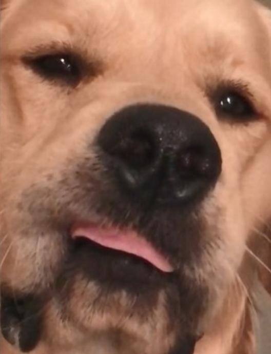 这不是真的阿金嘴边肉不停抽搐眼神透出一道绿光