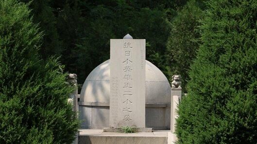 抗日小英雄王二小牺牲46年后终被追认为烈士