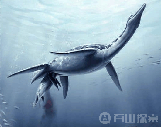 98年洪水军方曝曾有水怪出没!