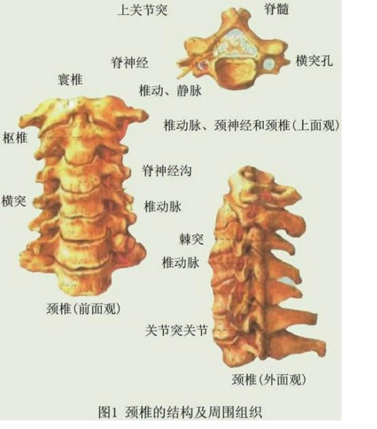 颈椎病最强科普!了解病因与病理,4种方法,对症下药轻松治愈!