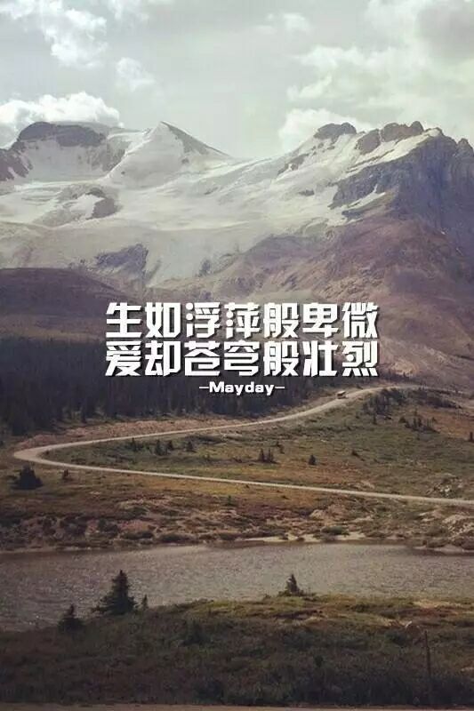 我在爱情中卑微到尘埃,可现实如此残酷!