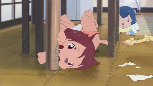 雪顽皮活泼,雨则害羞内向,雨经常跑到妈妈的怀里要哄哄